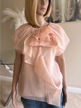 Sheer Ruffle-Accent Blouse in Light Pink